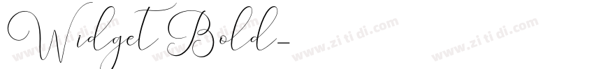 Widget Bold字体转换